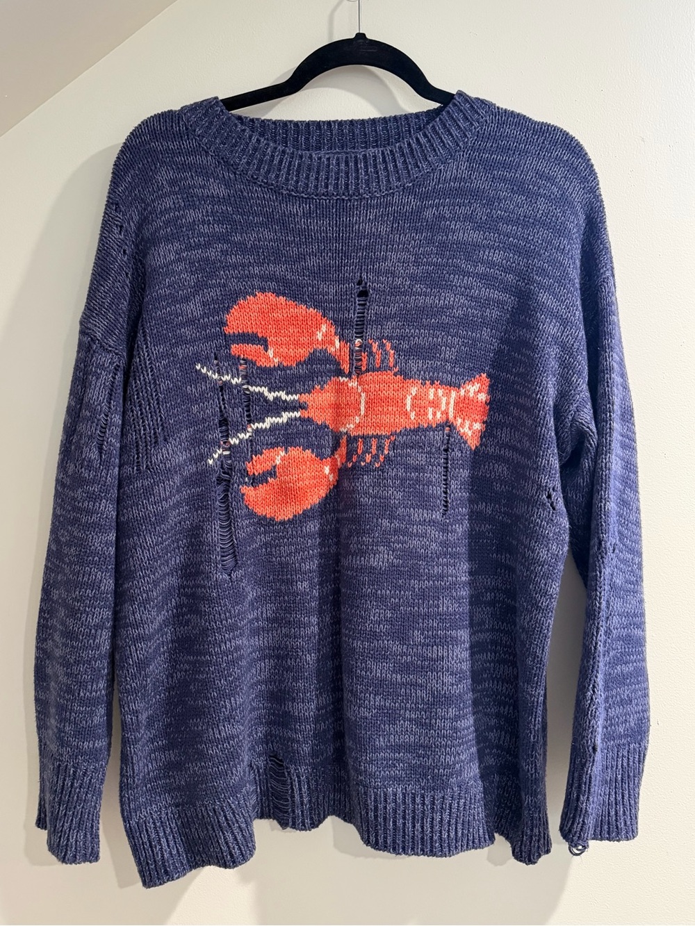 BDG oversized distressed sweater with lobster